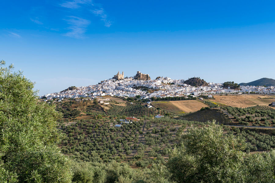 Club Med Magna Marbella: nieuw resort in Andalusië, Spanje 01 | De Permentier Travel - Reisbureau Hasselt